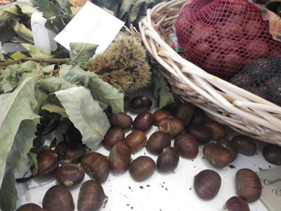 Castagne