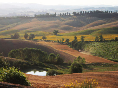 Montalcino
