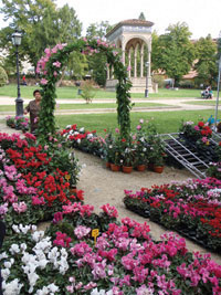 Mostra dei fiori