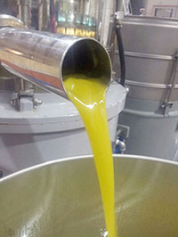 Olio